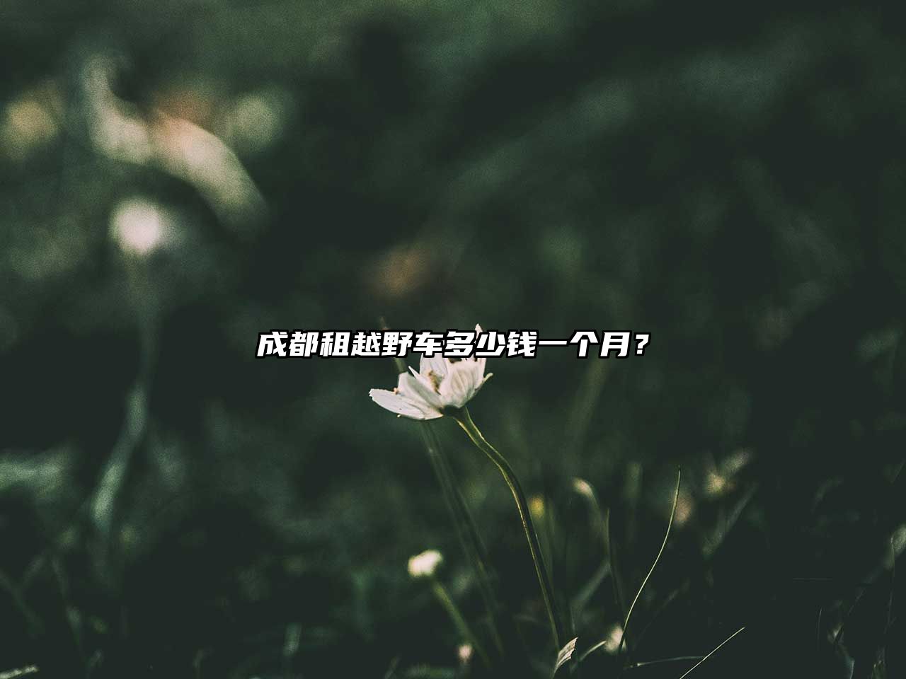 成都租越野車多少錢一個月？